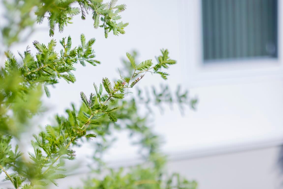 引っ越しが多く、落ち着ける居場所が欲しいと思い、家づくりを考え始めました。